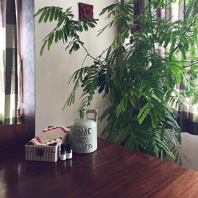 Virolさんの実例写真