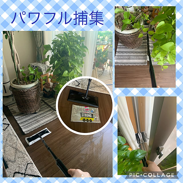 Aqettyさんの実例写真