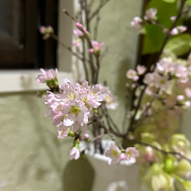 mizucchiさんの部屋