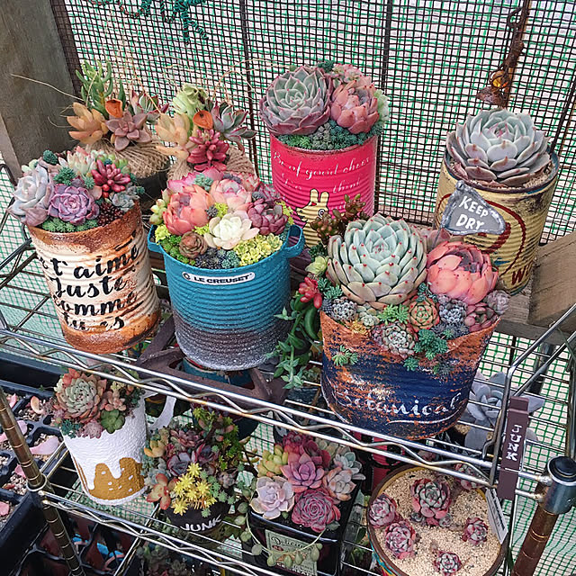 bon-bon-hippieさんの実例写真