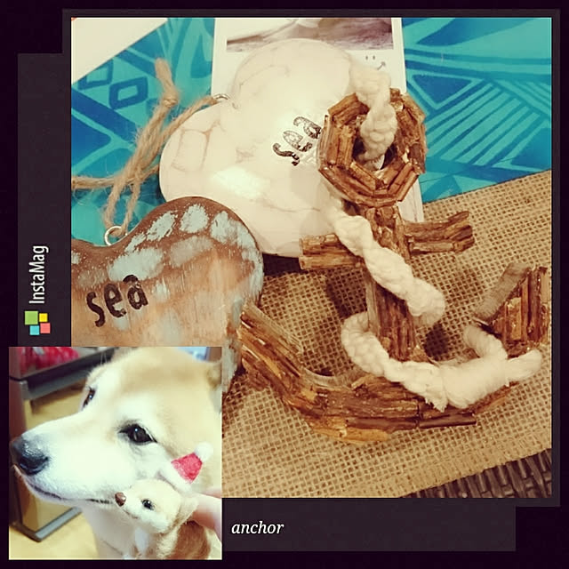 cocosorasakuさんの実例写真