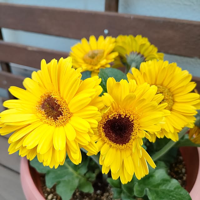 VERANDARJUNさんの実例写真