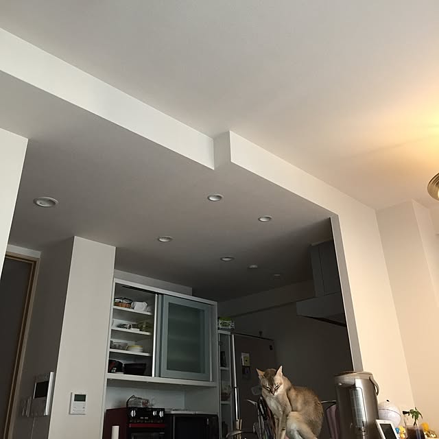 nekochan39さんの実例写真