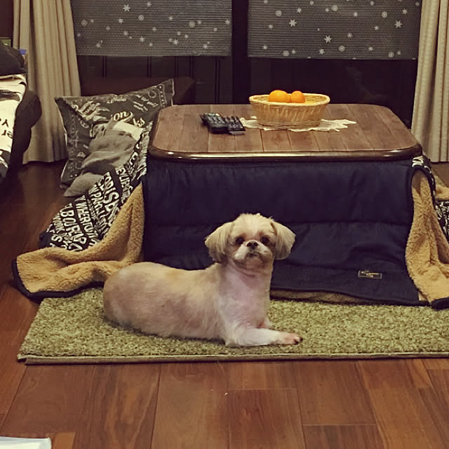 chikaさんの実例写真