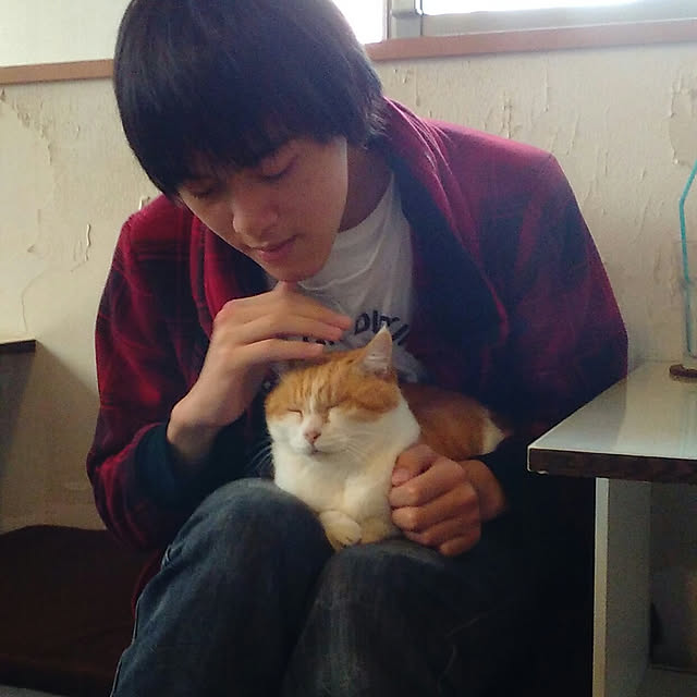 satochiさんの実例写真
