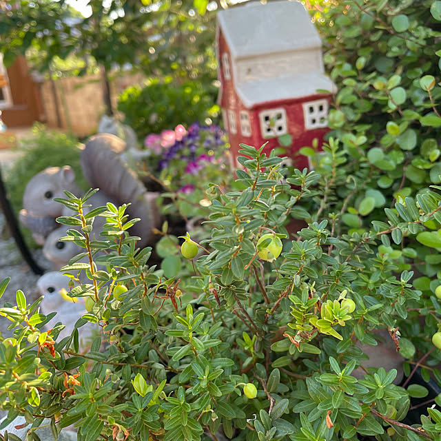ronronさんの実例写真