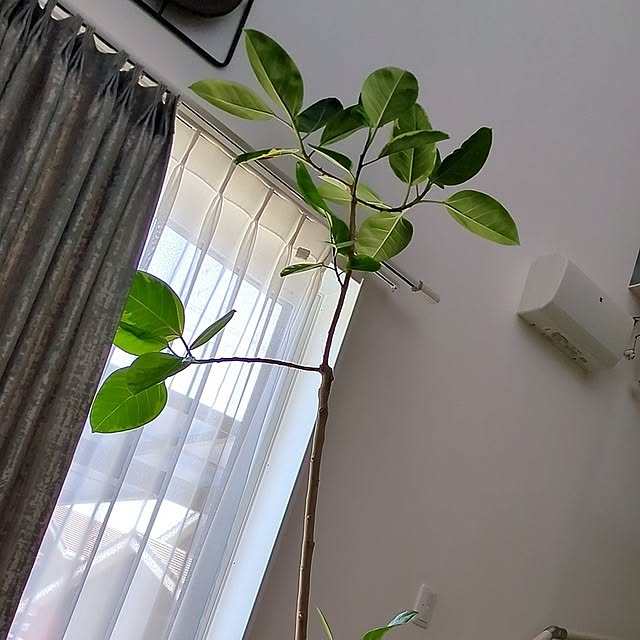 meimie1020さんの部屋