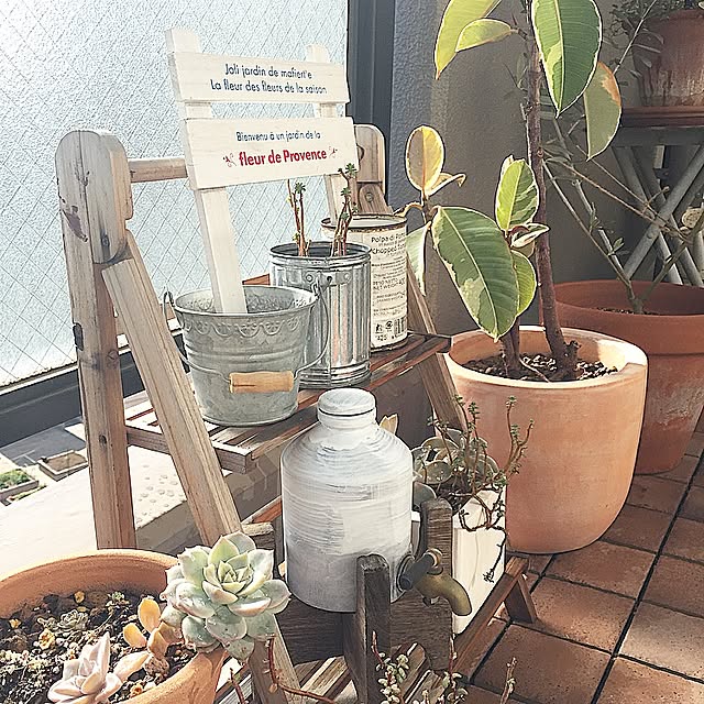 机/ベランダガーデン/多肉植物/観葉植物のインテリア実例 - 2016-01-16 11:13:27
