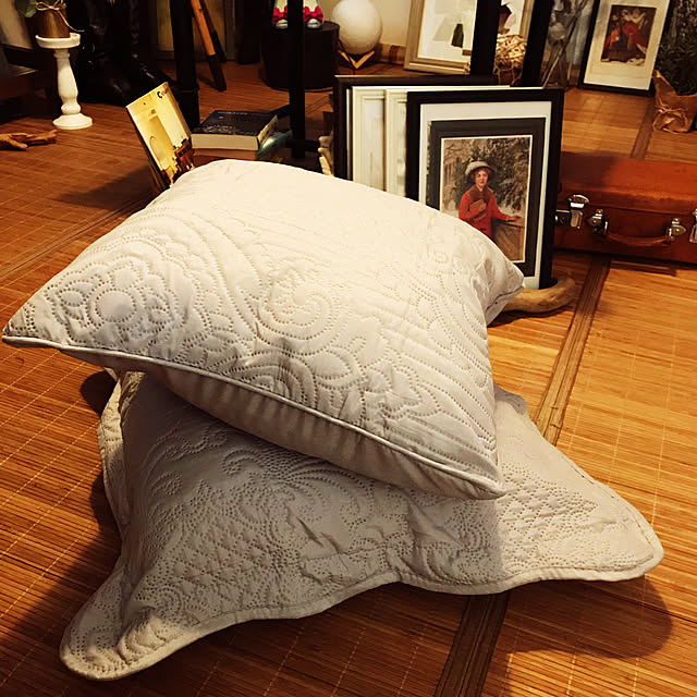 Satokoさんの実例写真