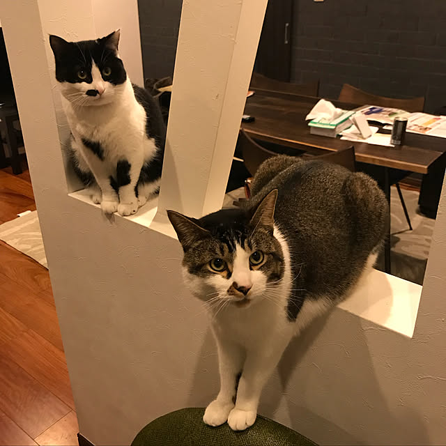 icbさんの実例写真