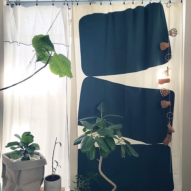 dropさんの実例写真