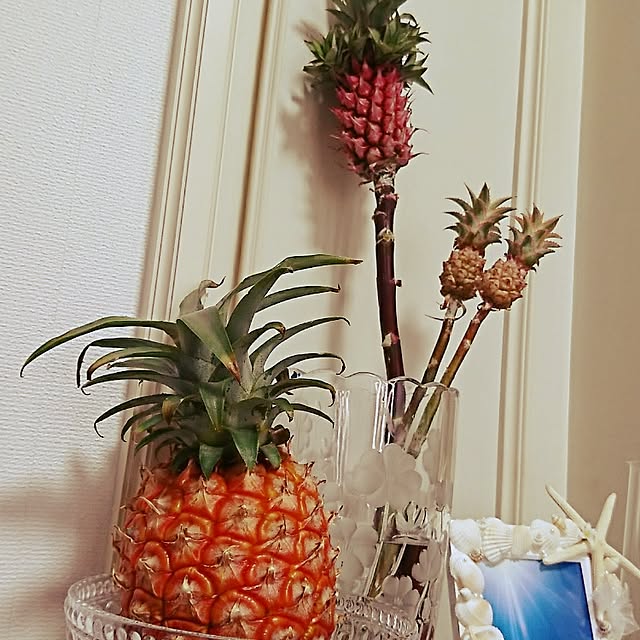 mayuroseさんの実例写真