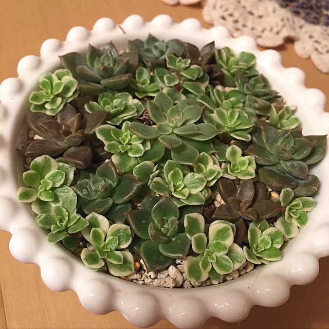 canmilmamaさんの実例写真