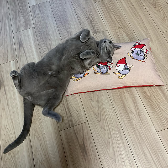 sayuuuさんの実例写真