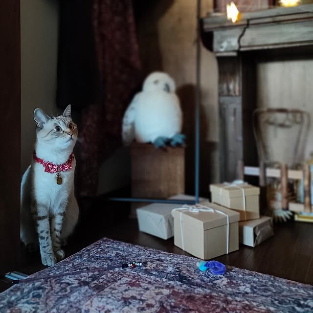 Atelier_tamakiさんの部屋