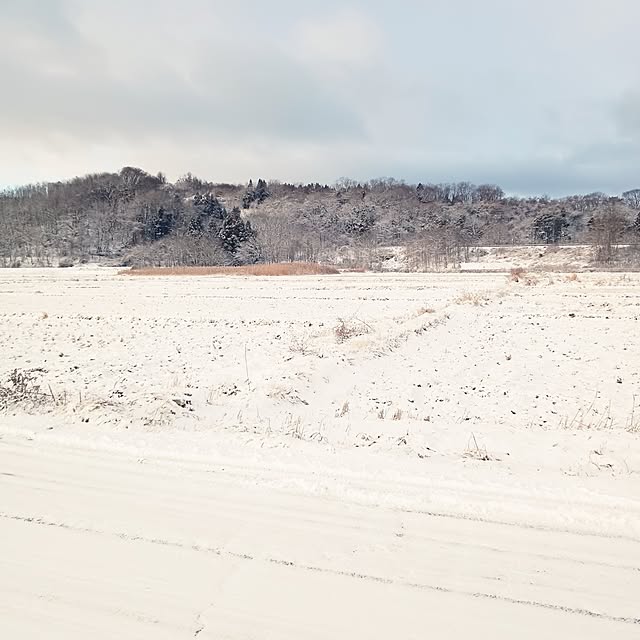 ruantaiさんの部屋