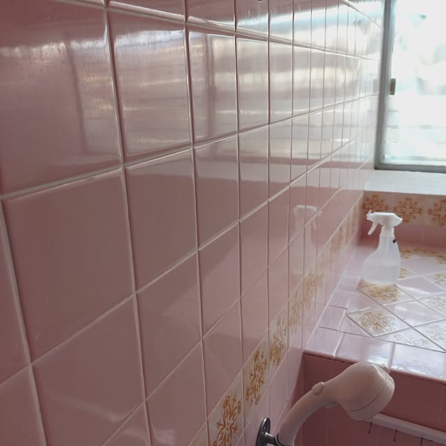 バス/トイレ/中古住宅/古い家/平屋暮らし/平屋...などのインテリア実例 - 2025-08-30 07:58:49
