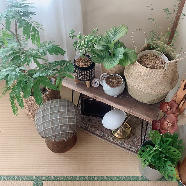 nao.roomさんの部屋
