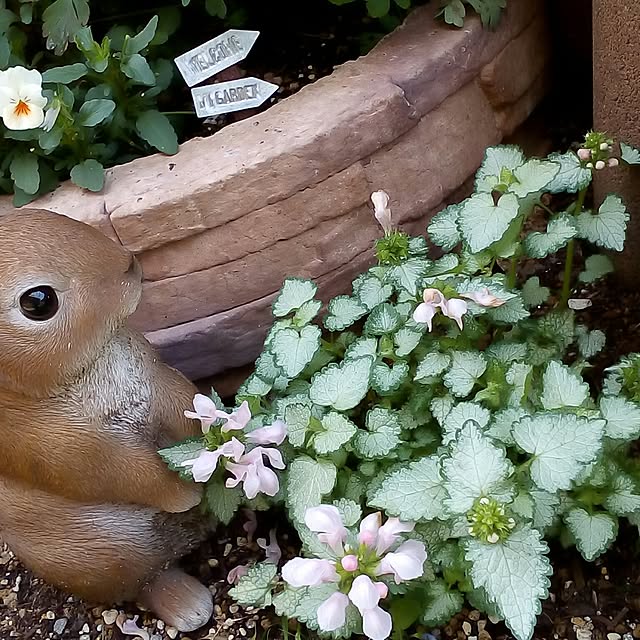mariagardenさんの実例写真