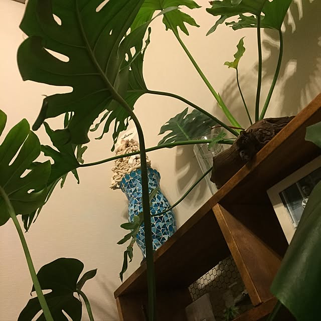 kenkenさんの実例写真