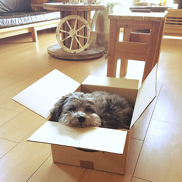 ayukoさんの実例写真