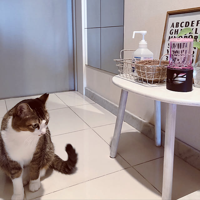 nekomiさんの実例写真