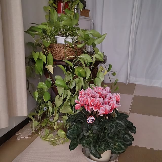 otibi.tt8787さんの部屋