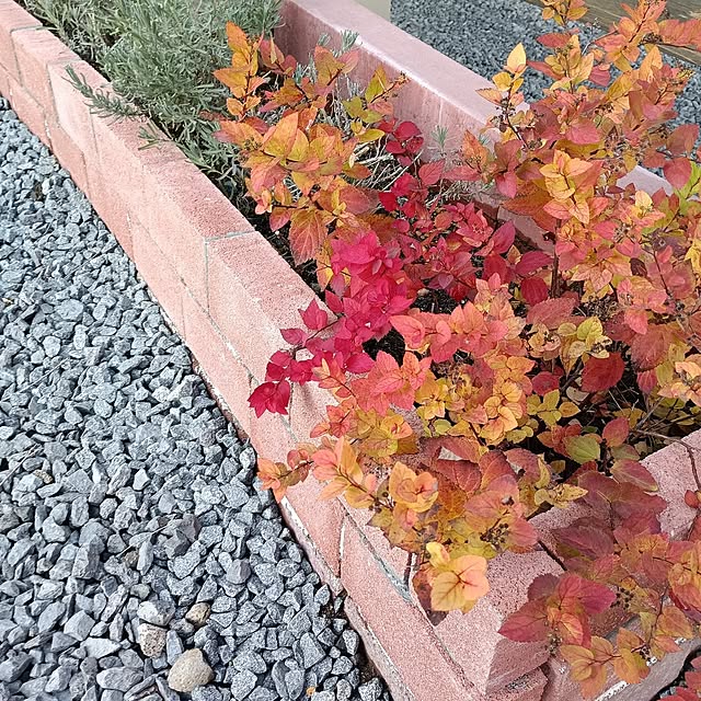 mokukoさんの実例写真