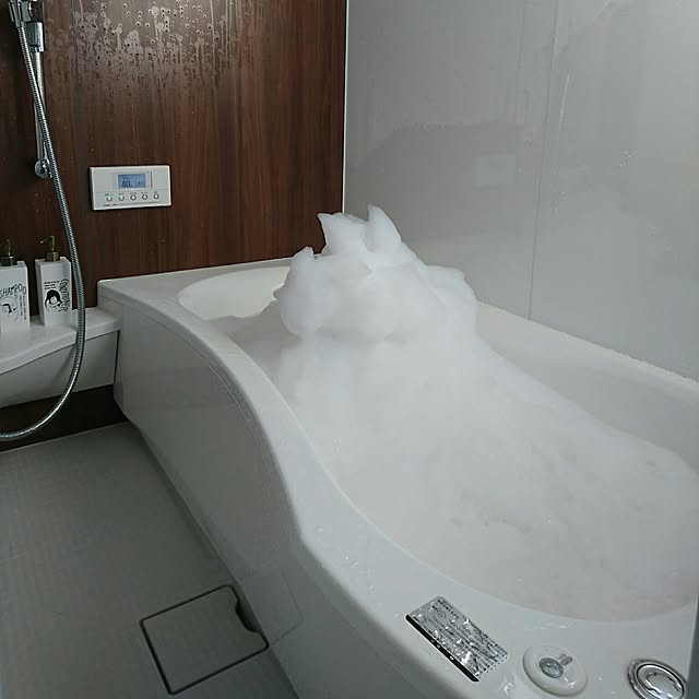 mi-sanさんの実例写真