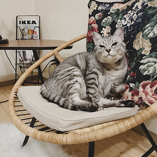 ineko_kさんの実例写真