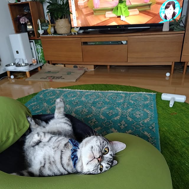 hiro3さんの部屋