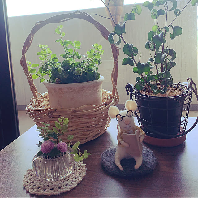 JUNさんの実例写真
