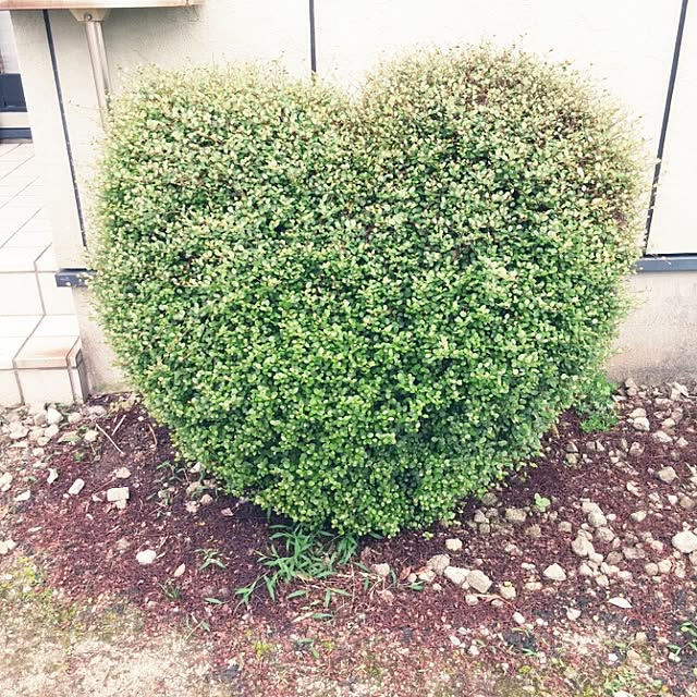 yaman.sさんの実例写真