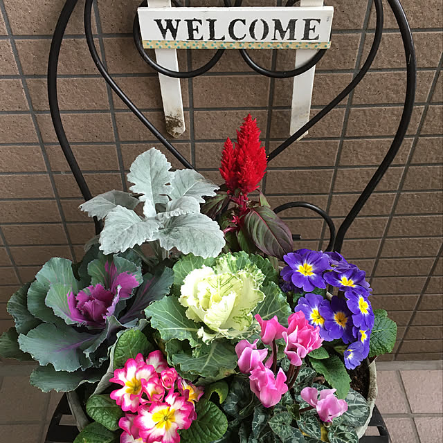 tomobaさんの実例写真