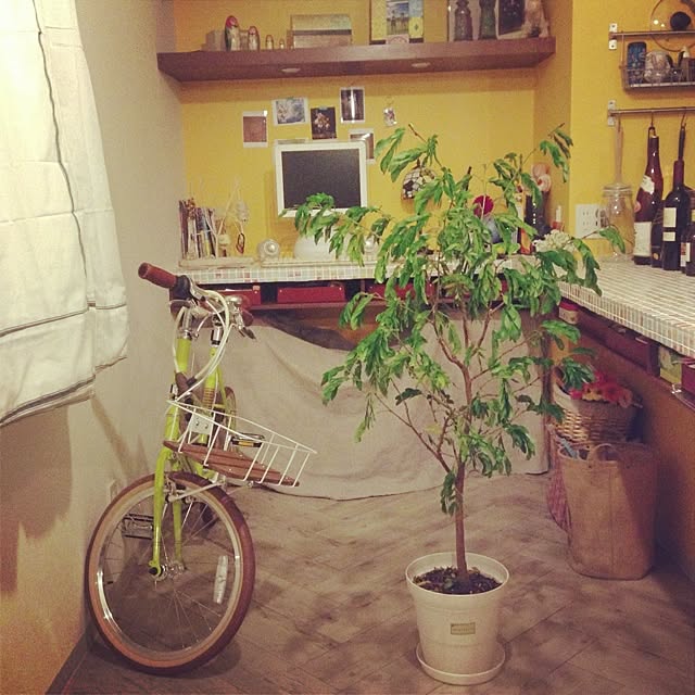 ryousukeさんの実例写真