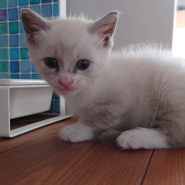 yukaさんの実例写真