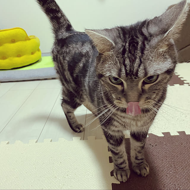 KotarouKunさんの実例写真