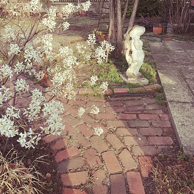 fukurouさんの実例写真