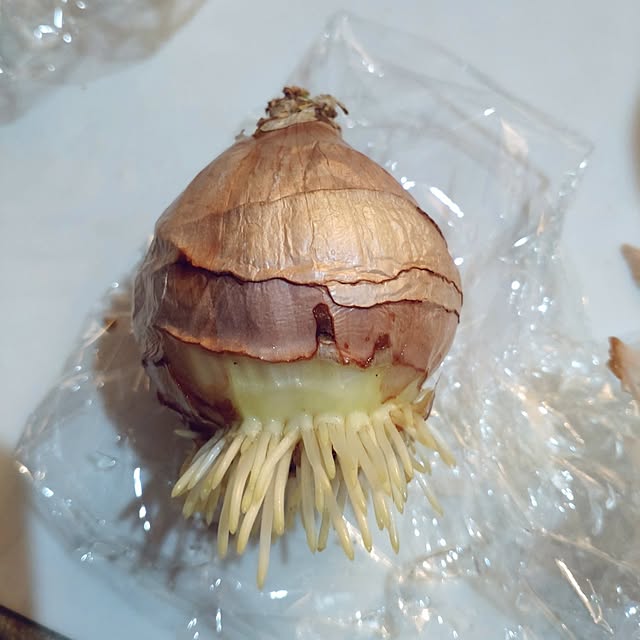 Bienvenueさんの部屋