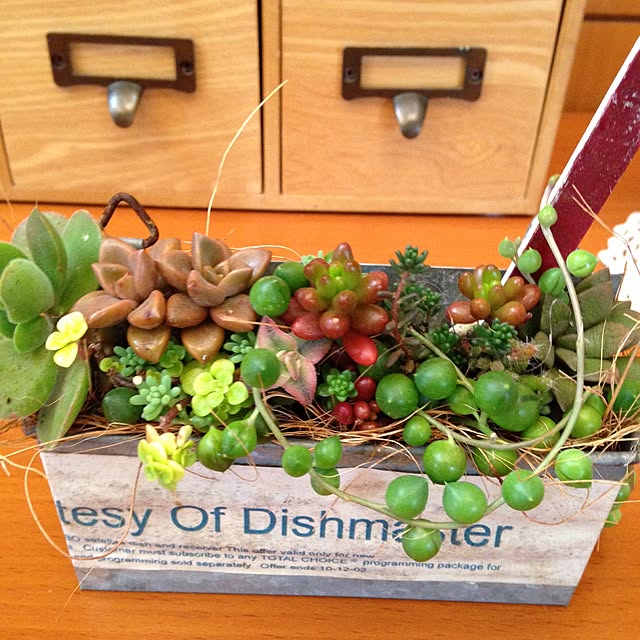 kochiさんの実例写真