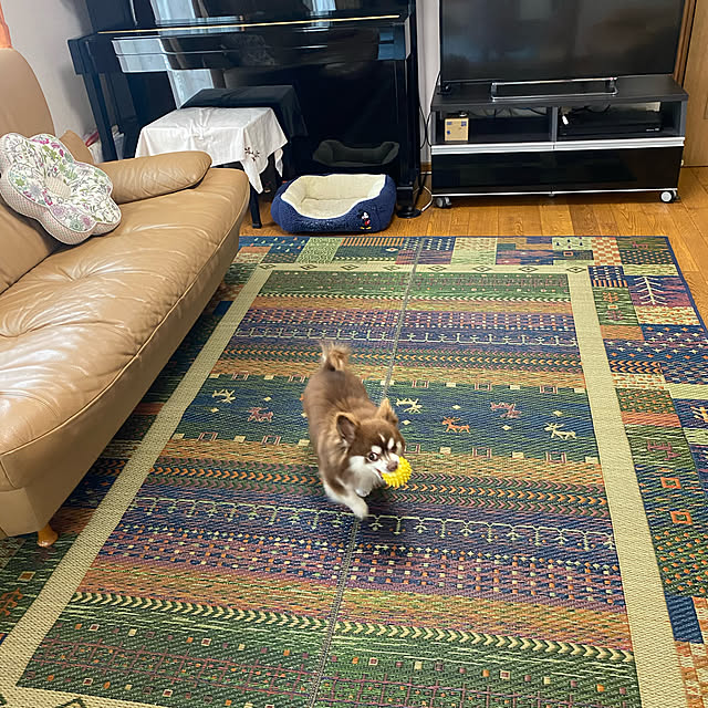 chIoeさんの実例写真