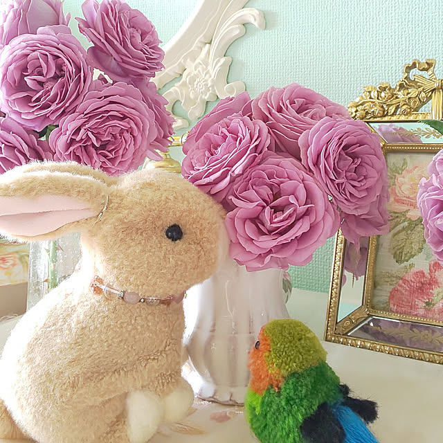 twinkle-butterfly38さんの実例写真