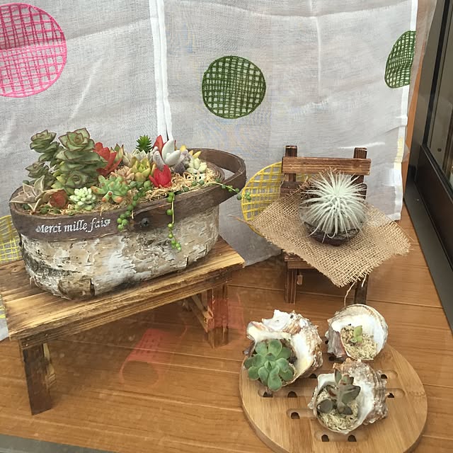 mikankinkanさんの実例写真