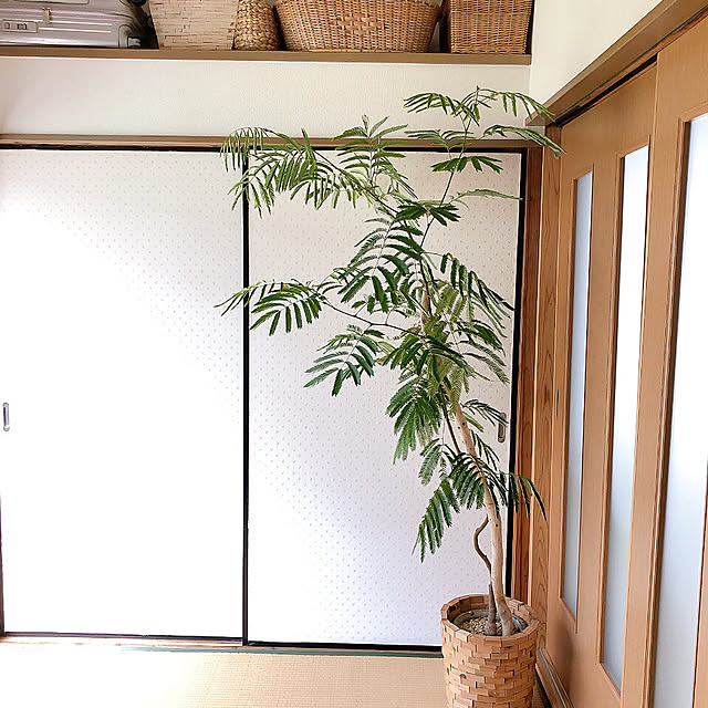 kyoko1124koさんの部屋