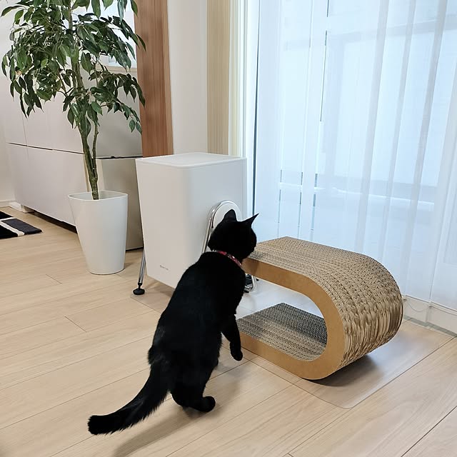 sakuraさんの部屋