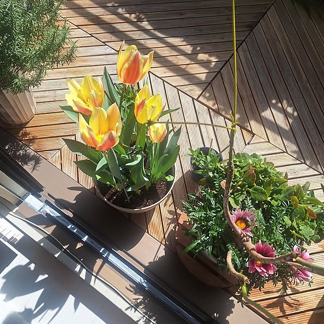 hakata-baさんの部屋