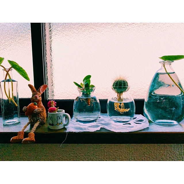 love.coさんの実例写真
