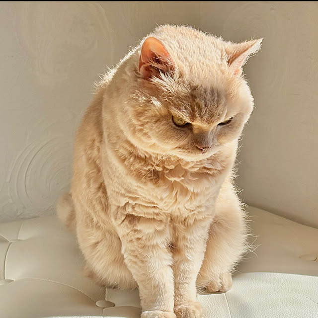 naokoさんの部屋