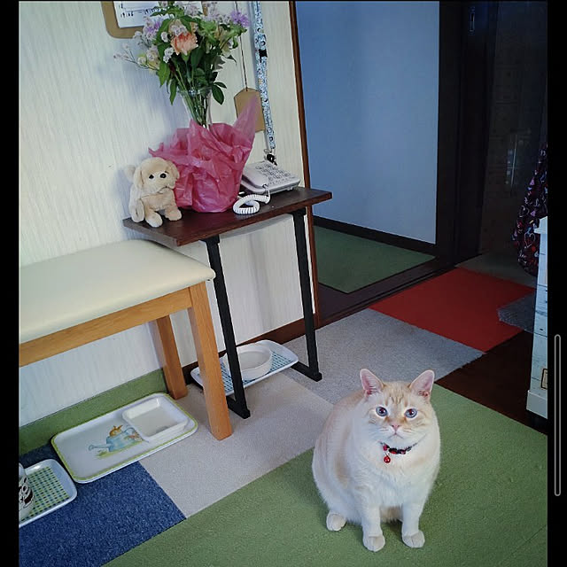 mntcさんの実例写真