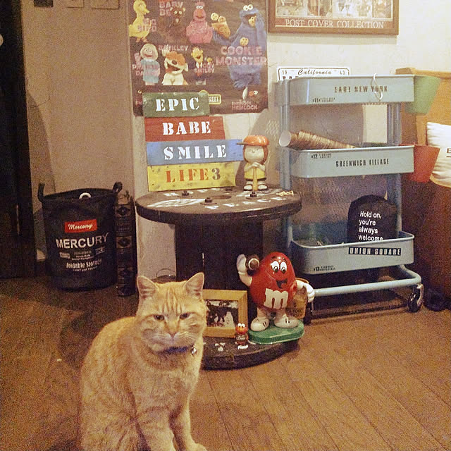 gu-sanさんの実例写真